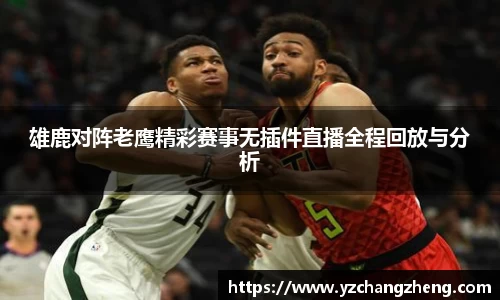 雄鹿对阵老鹰精彩赛事无插件直播全程回放与分析