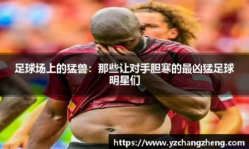 米兰体育官网