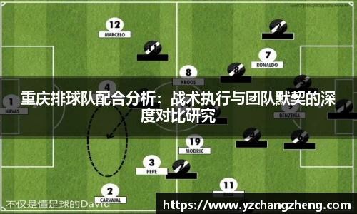 重庆排球队配合分析：战术执行与团队默契的深度对比研究